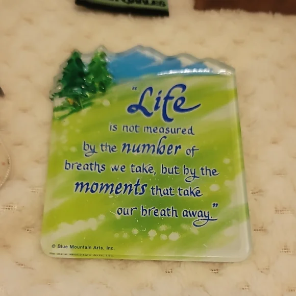 Set Of 7 Assorted Decorative Magnets - Picture 3 of 8